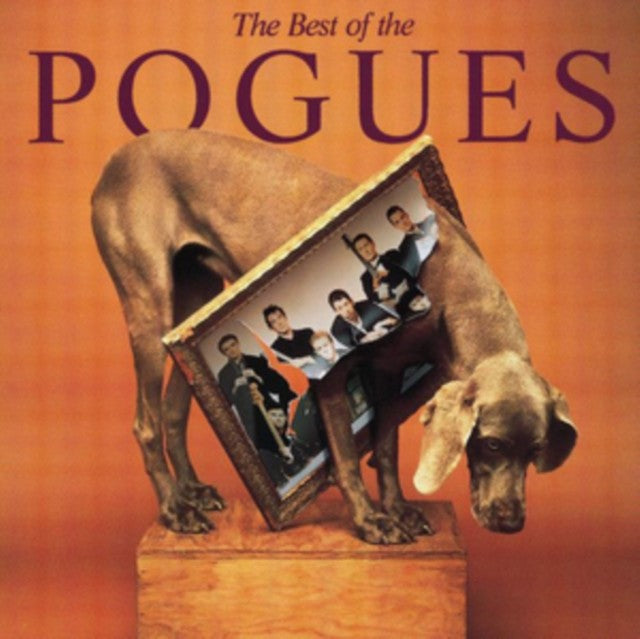 Best Of