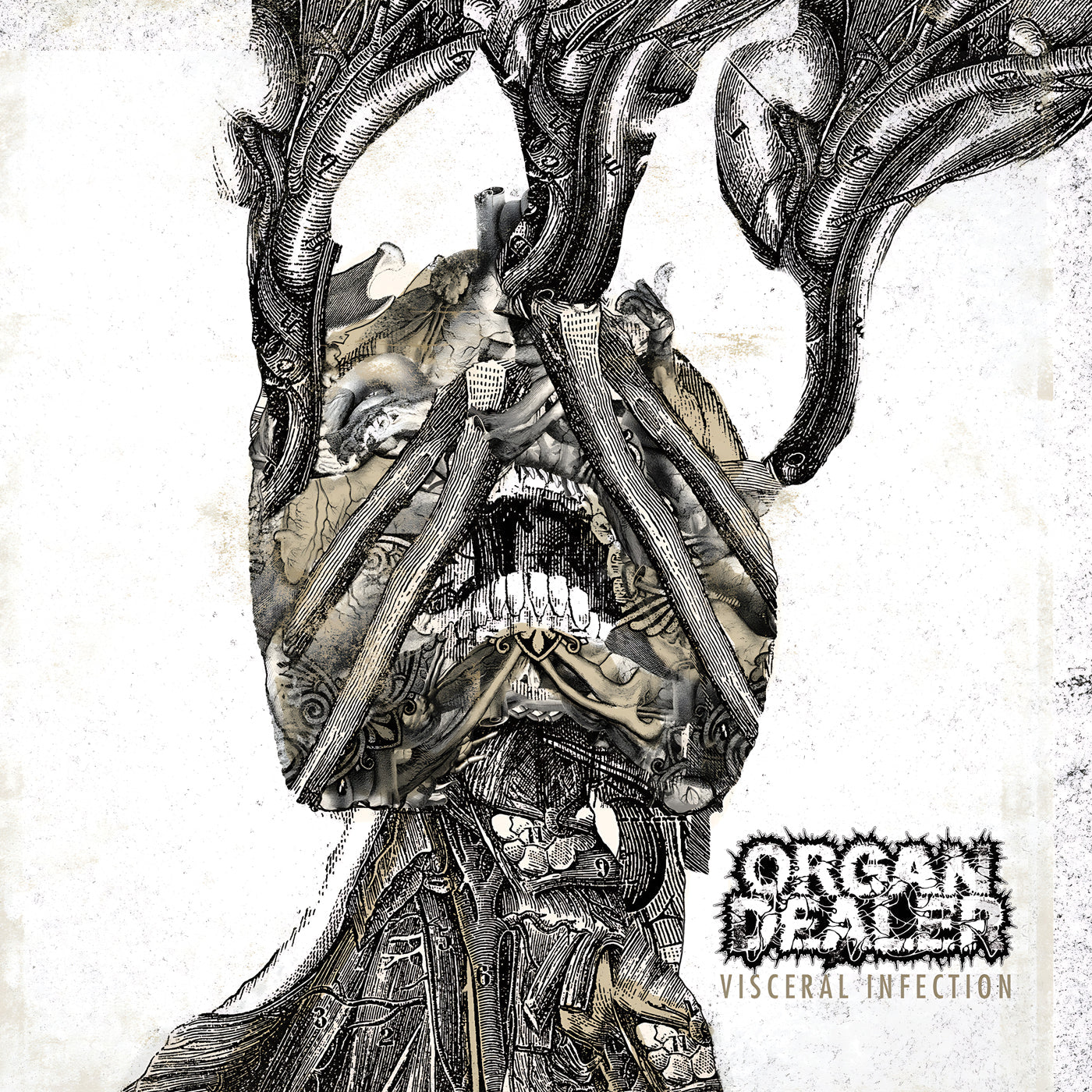 ORGAN DEALER - Visceral Infection LP (Metallic Silver) LTD To 141
