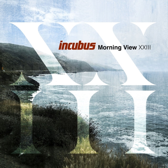 Incubus - Morning View Xxiii - LP Vinyl