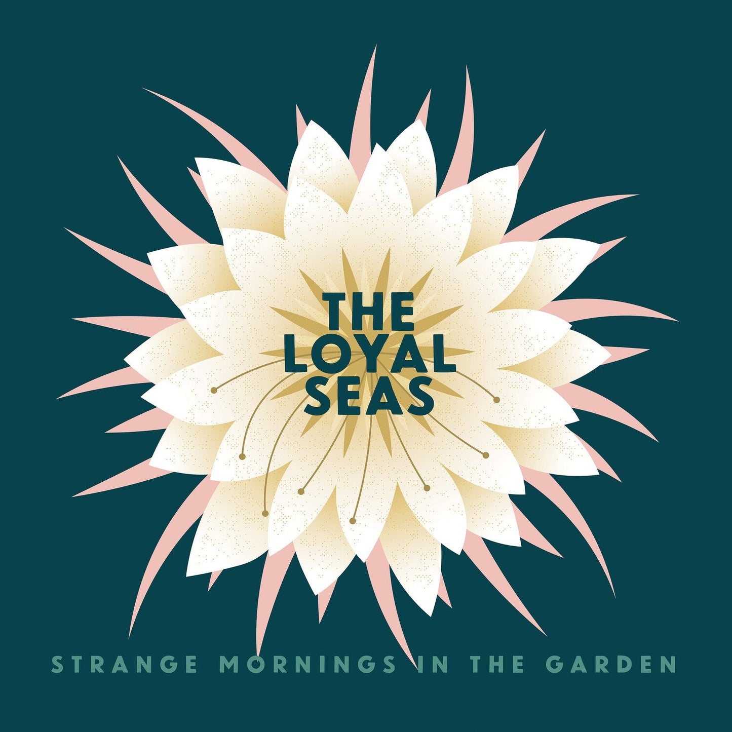 Strange Mornings In The Garden (Pink Rose LP Vinyl)