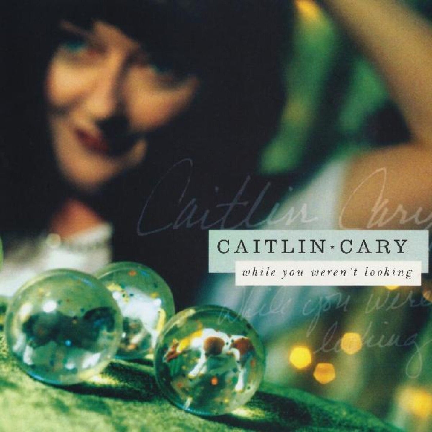 While You Weren't Looking (20Th Anniversary Edition/2LP)