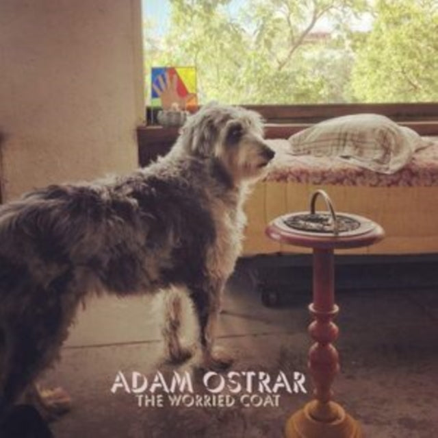Adam Ostrar - Worried Coat - LP Vinyl