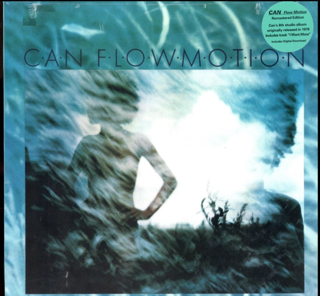 Flow Motion
