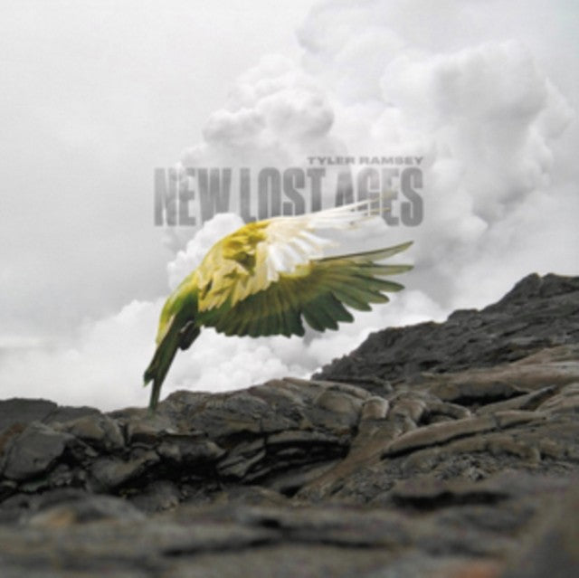 New Lost Ages (Natural Warm Grey LP Vinyl)