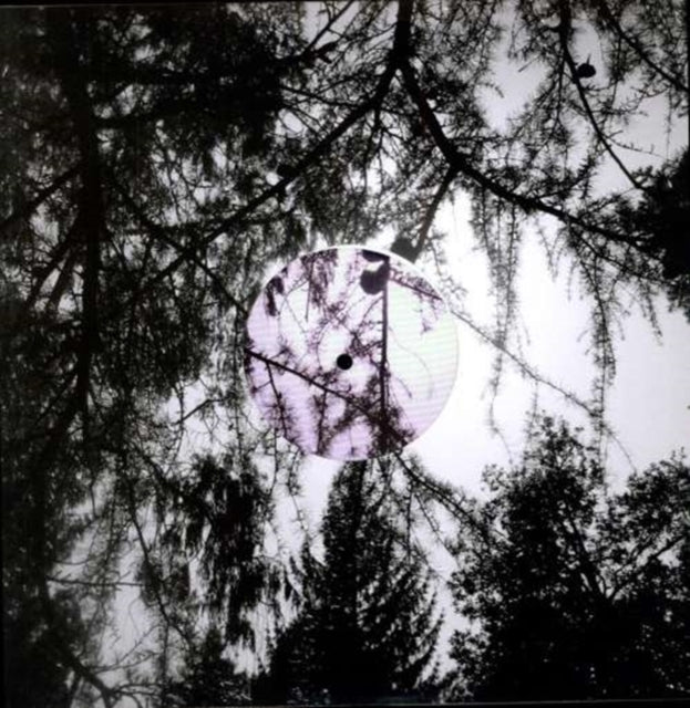 High Places - Can't Feel Born - 12 Inch Vinyl