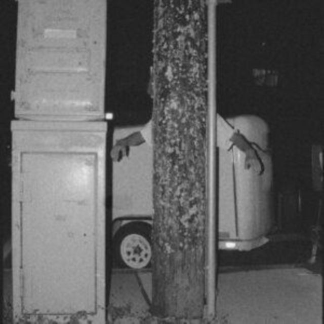 Paper Tiger - All Over The Place (Opaque White LP Vinyl)