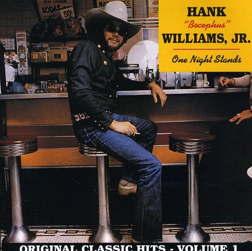 the album cover for Hank Williams Jr. - One Night Stands