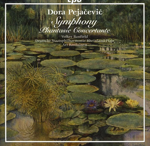 the album cover for A. SALLINEN - Symphony / Phantasie Concertante