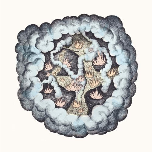 the album cover for Tw Walsh - Songs of Pain and Leisure