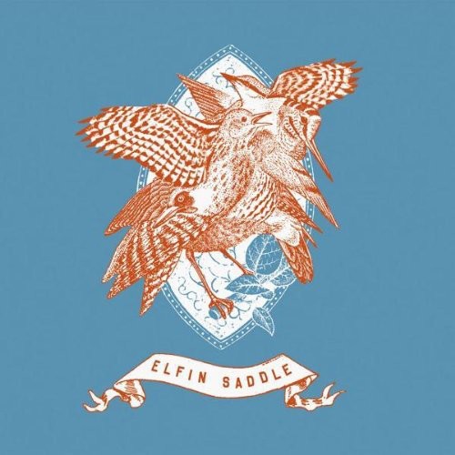 the album cover for Elfin Saddle - Devastates