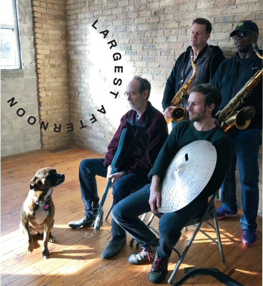 Arto Lindsay / Mcphee,Joe / Vandermark,Ken - Largest Afternoon Music CD