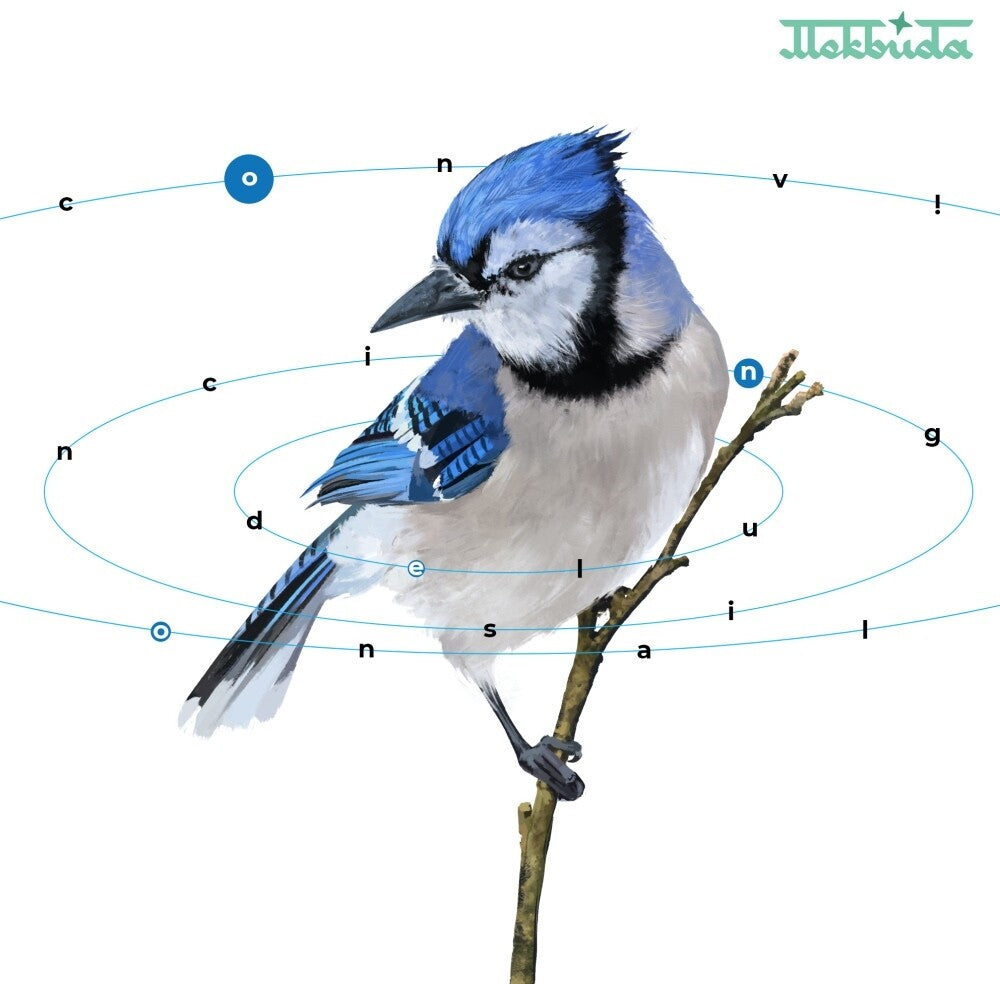 the album cover for Mekbuda - Convincing Delusional