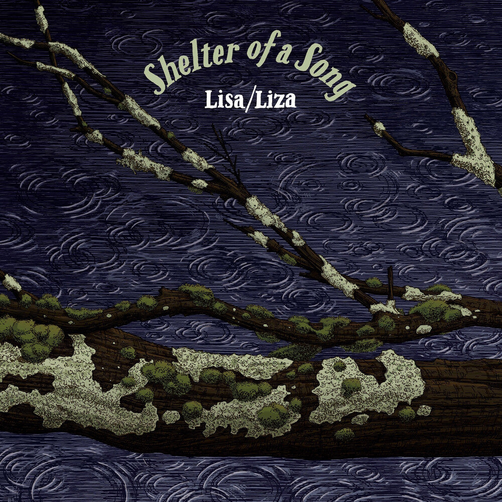the album cover for Lisa / Liza - Shelter Of A Song