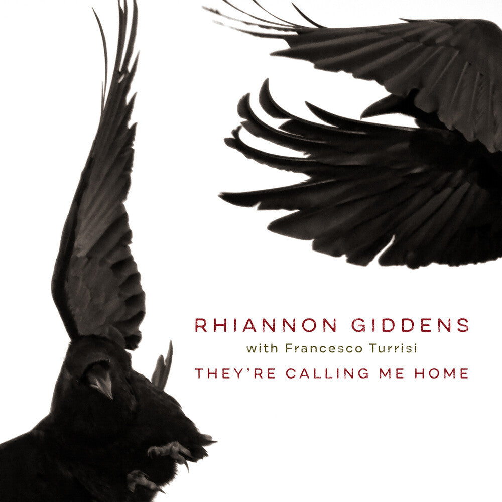 the album cover for Rhiannon Giddens - They're Calling Me Home