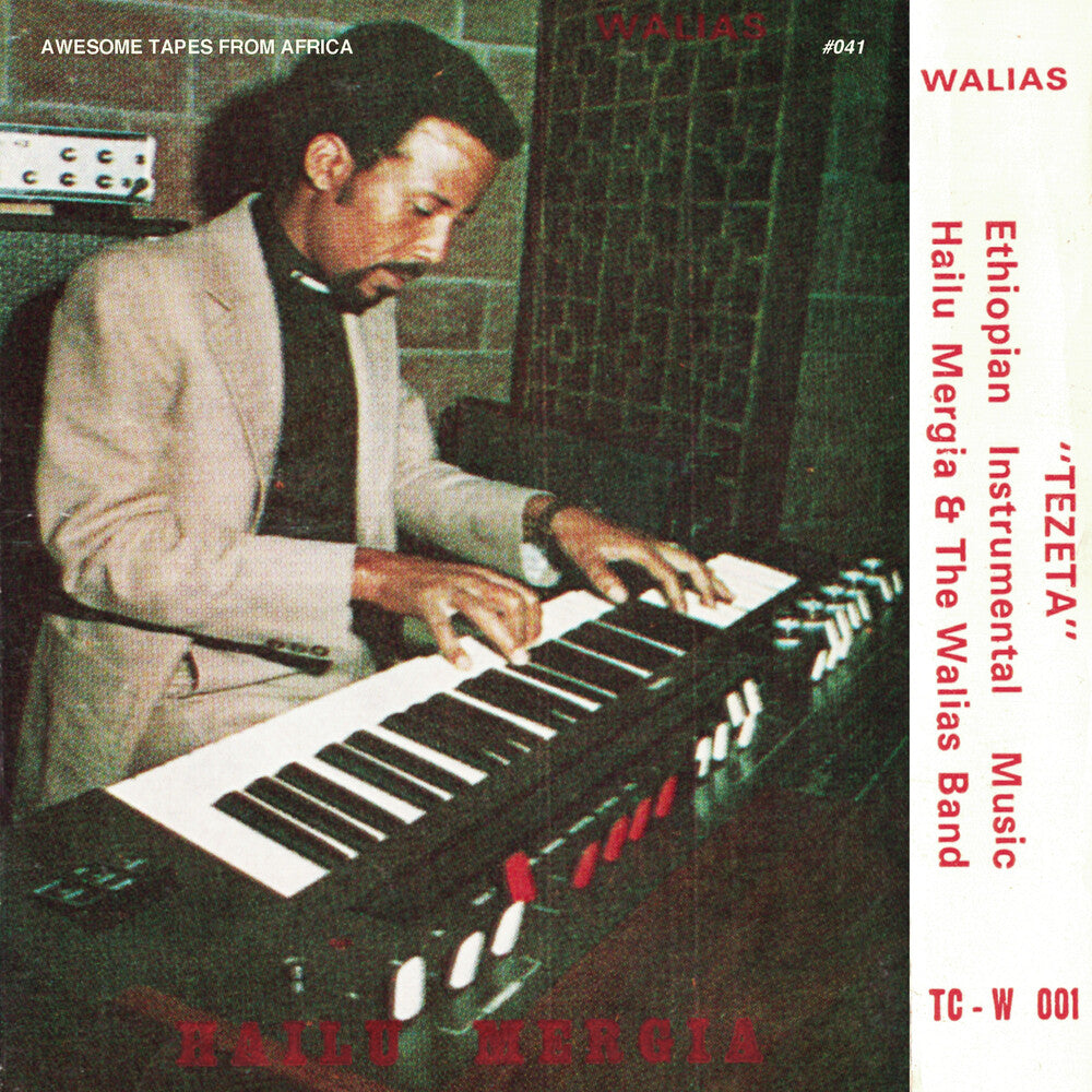 the album cover for Hailu Mergia & The Walias - Tezeta