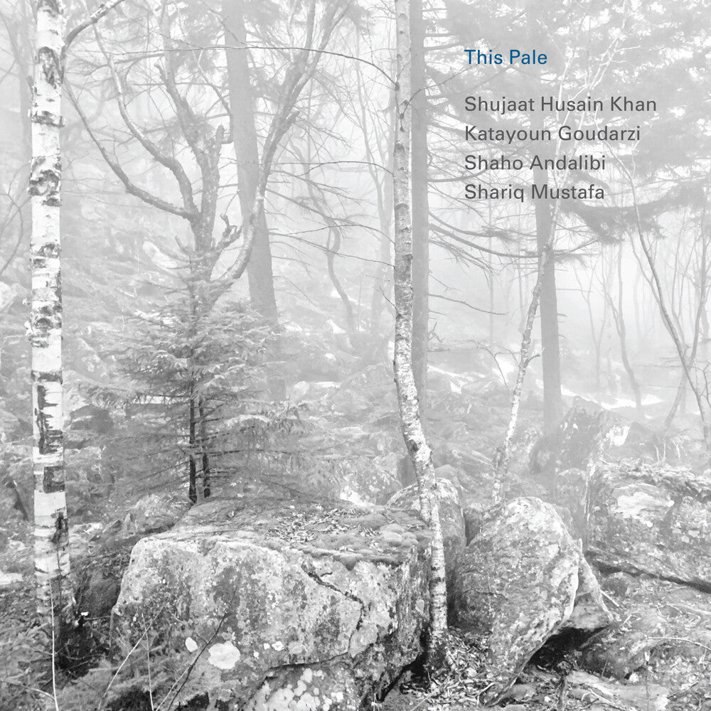 the album cover for Shujaat Husain Khan & Katayoun Goudarzi - This Pale