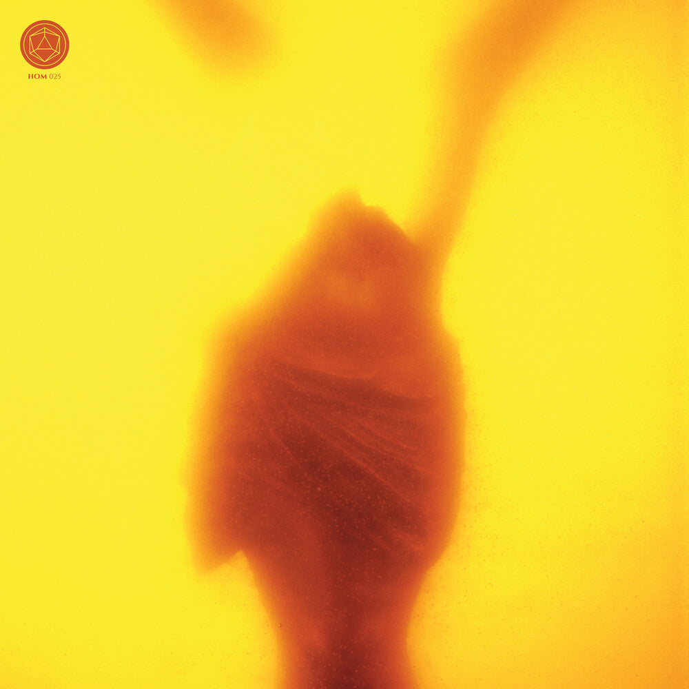the album cover for Massimo Pupillo / Csokas,Marton / Tinti,Gabriele - Embracing The Ruins