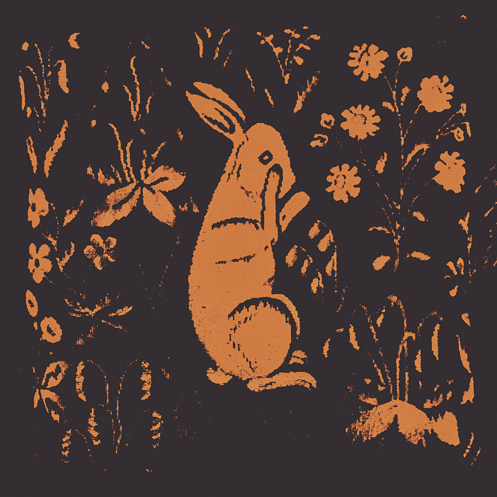 Sadness - Rabbit Album Music CD
