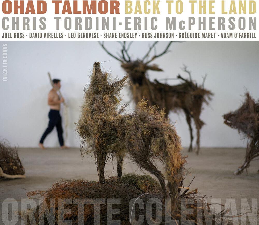 the album cover for Ohad Talmor - Back To The Land