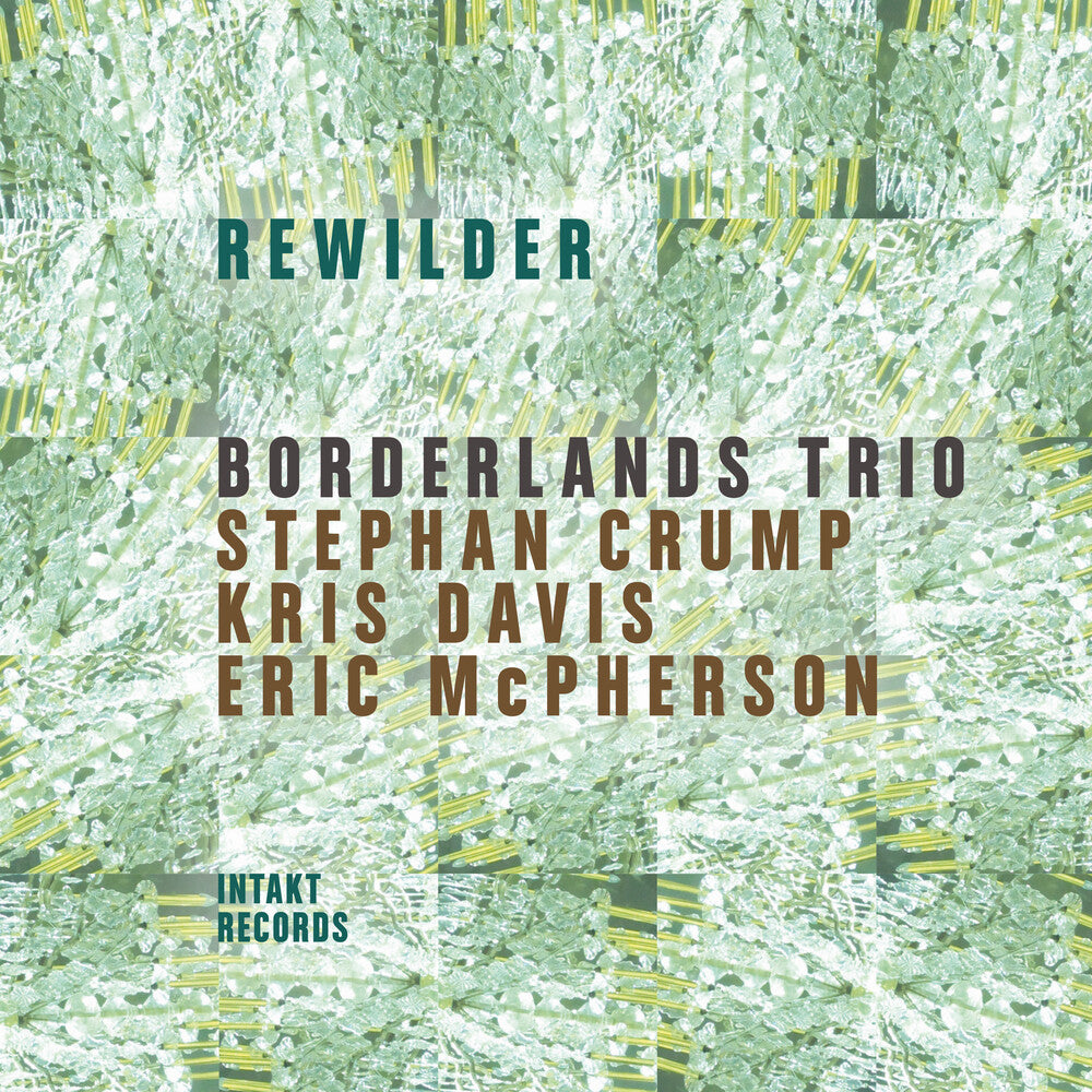 the album cover for Borderlands Trio - Rewilder