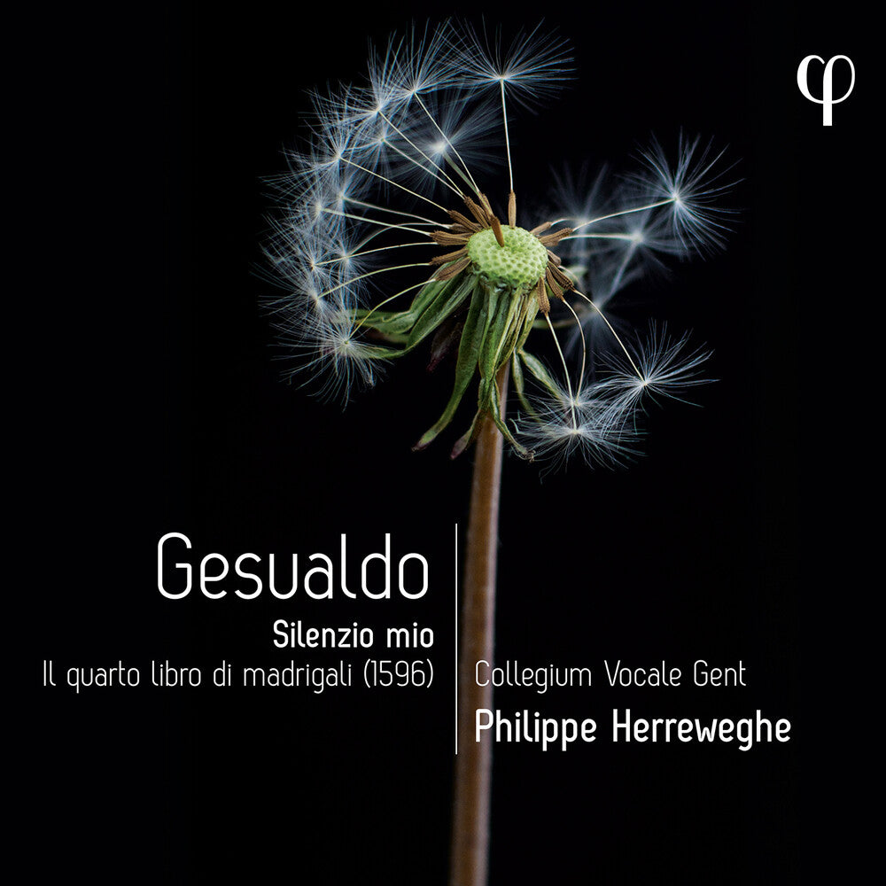 Gesualdo / Herreweghe / Nordberg - Silenzio Mio - Il Quarto Libro Di Madrigali Music CD