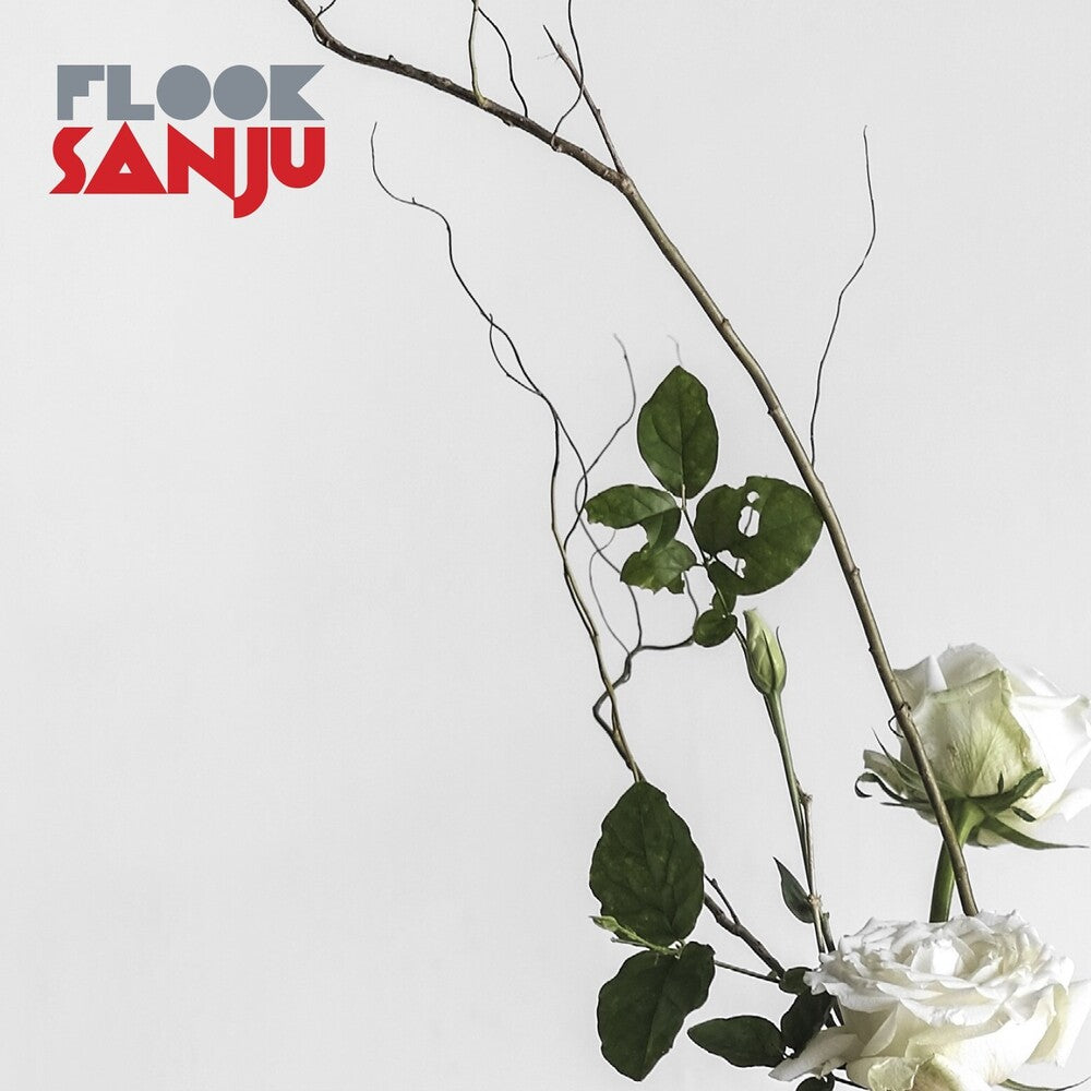 the album cover for Flook - Sanju (Uk)