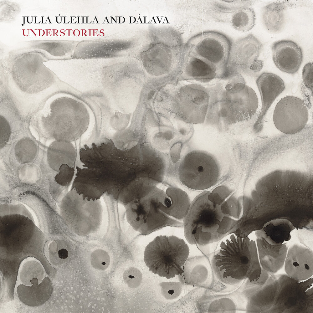 the album cover for Julia Ulehla & Dalava - Understories