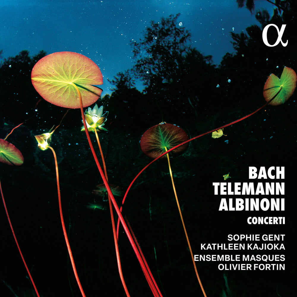 the album cover for Ensemble Masques / Albinoni - Bach Telemann & Albinoni: Concerti