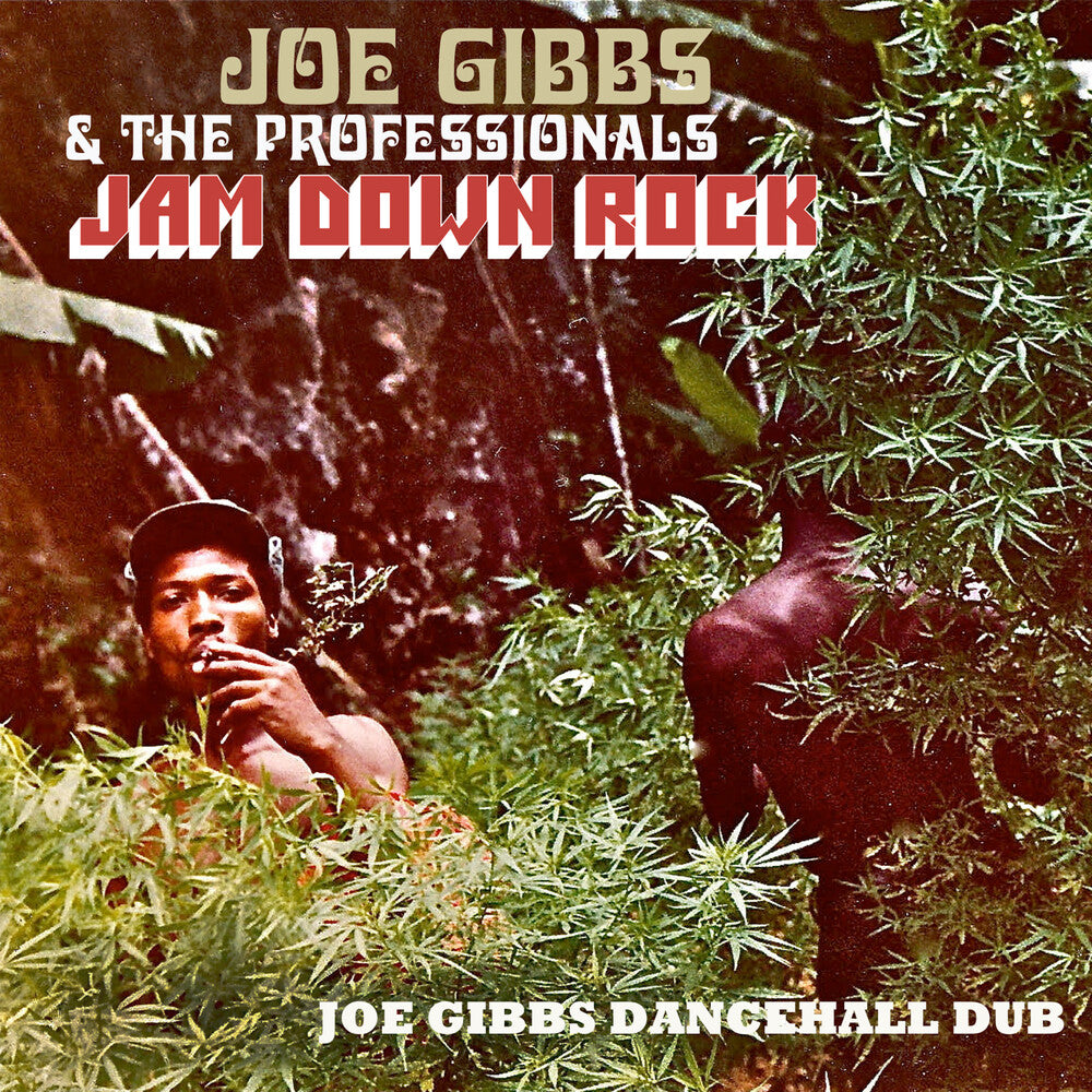 the album cover for Joe Gibbs & The Professionals - Jam Down Rock: Joe Gibbs Dancehall Dub (Uk)