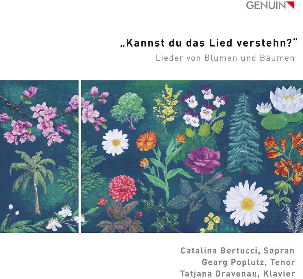 the album cover for Catalina Bertucci - Kannst Du Das Lied Verstehn?