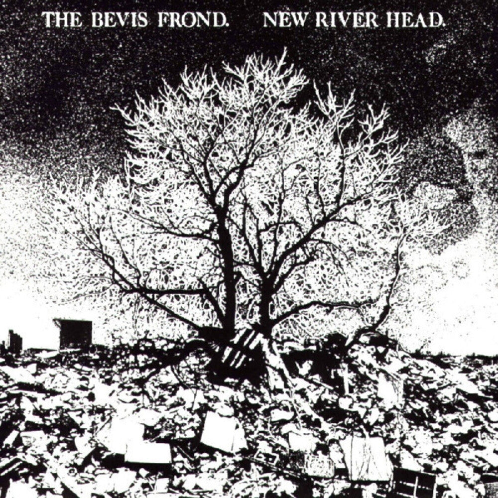 the album cover for Bevis Frond - New River Head