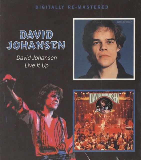 David Johansen / Live It Up (Remastered)