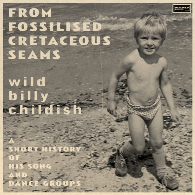 From Fossilised Cretaceous Seams: A Short History Of His Song & Dance Groups (2LP)