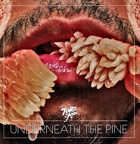Toro y Moi Underneath the Pine Vinyl