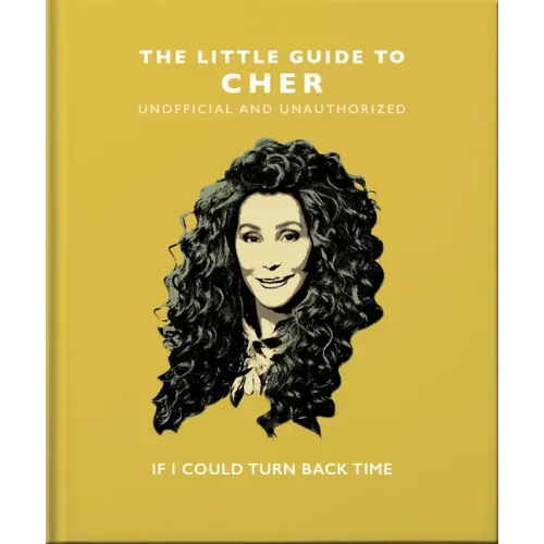 The Little Guide to Cher: If I Could Turn Back Time