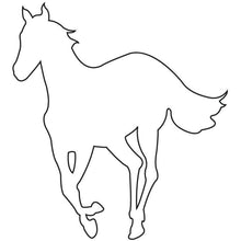 White Pony