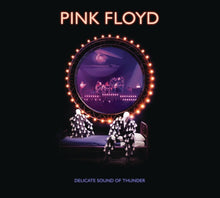 Pink Floyd - Delicate Sound Of Thunder (2CD)