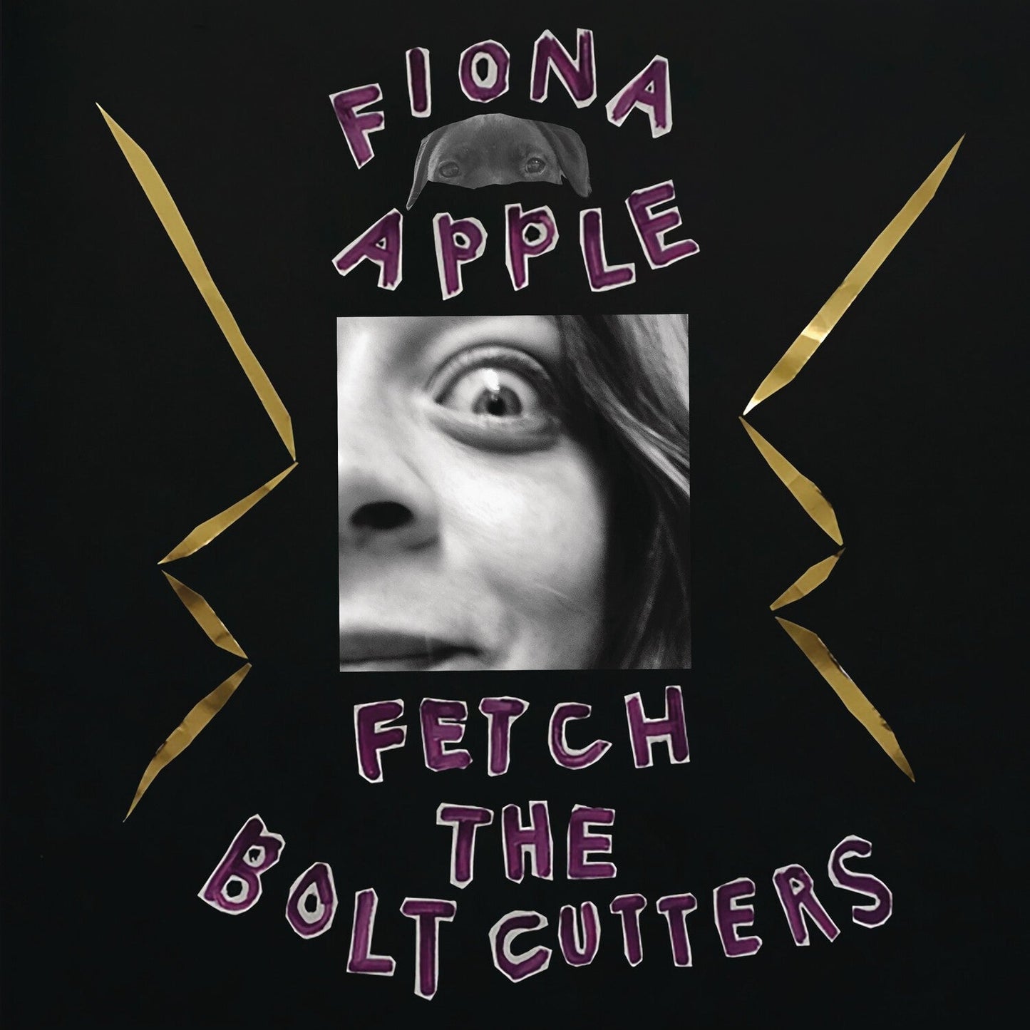 Fetch The Bolt Cutters (180G/2LP/Dl Insert)
