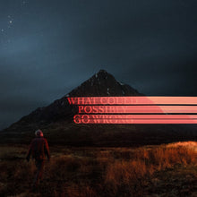 What Could Possibly Go Wrong (X) (140G/Poster)