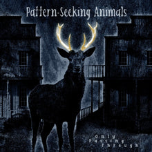 Pattern-Seeking Animals - Only Passing Through (2LP/CD)