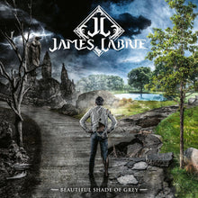 Beautiful Shade Of Grey (LP/CD)
