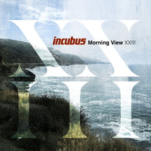 Incubus - Morning View Xxiii - LP Vinyl
