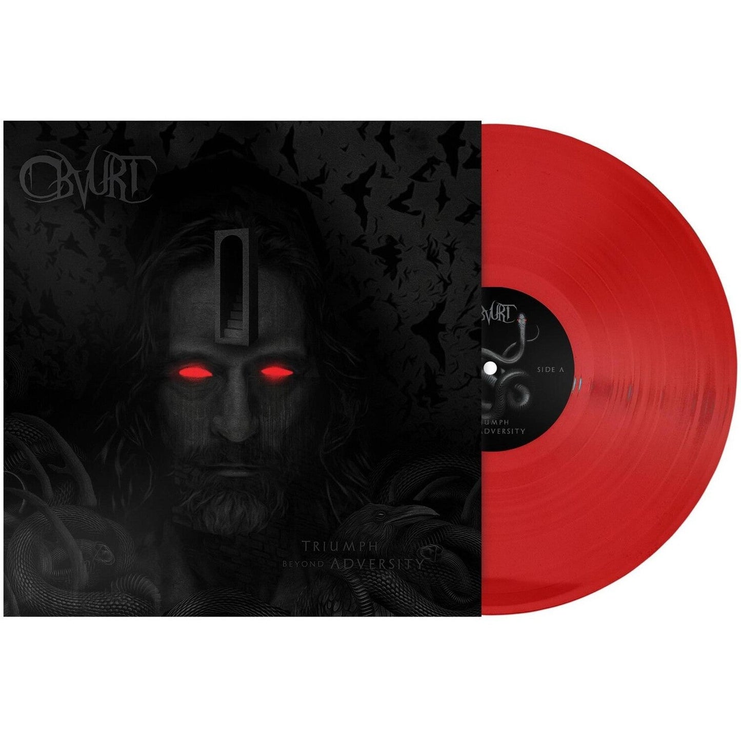 Triumph Beyond Adversity (Red Gatefold)