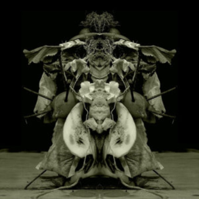 Gurun Gurun - Uzu Oto - LP Vinyl