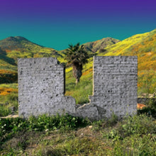 Shopping - All Or Nothing - LP Vinyl