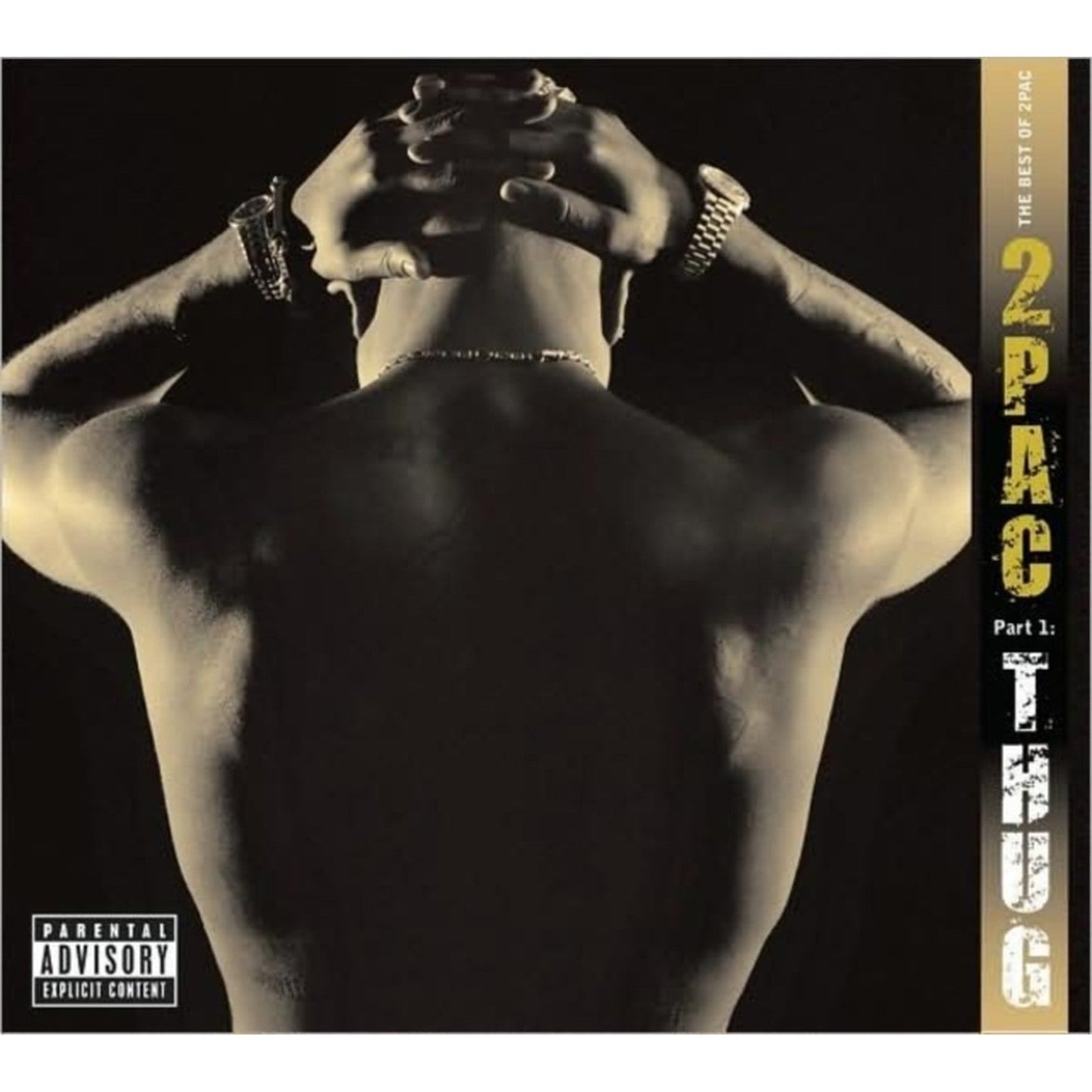 Best Of 2Pac Part 1: Thug