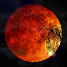 Live From Exile (Picture Disc)