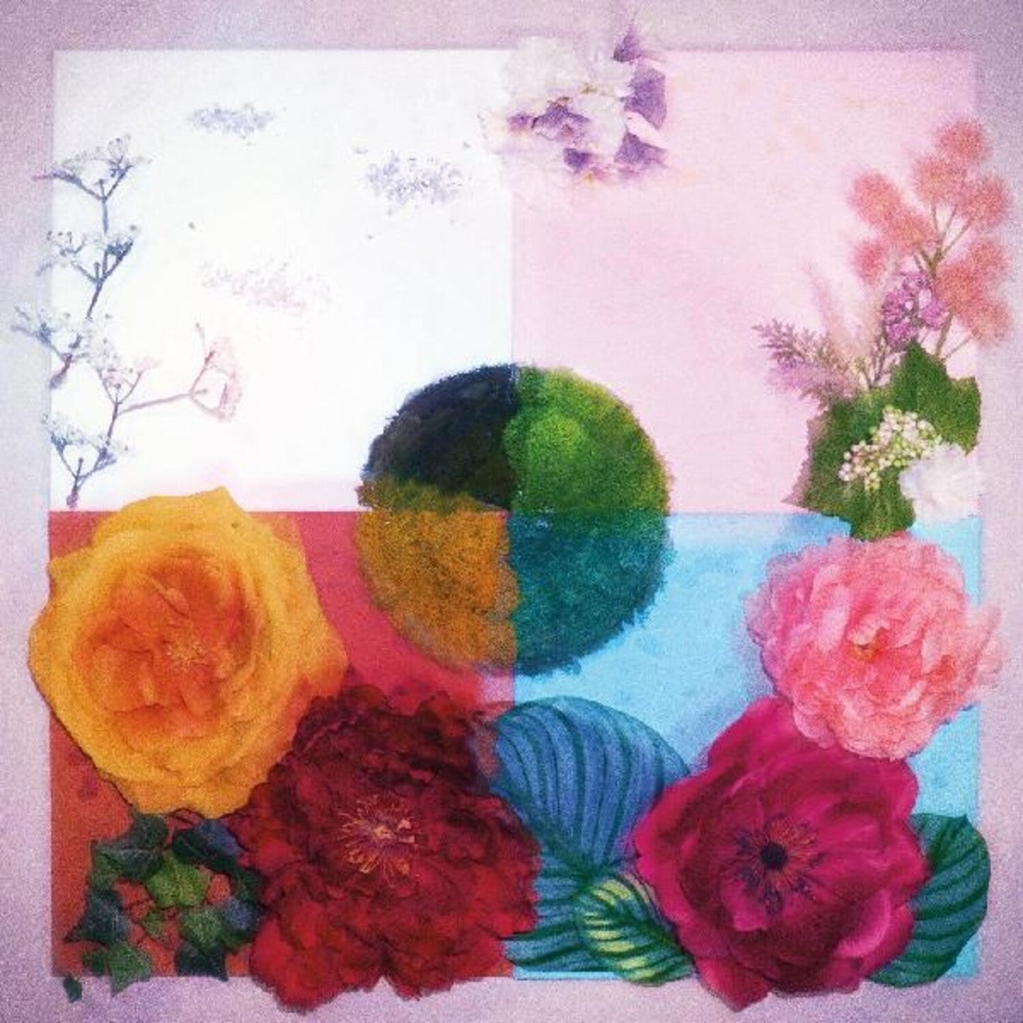 P.O.C (Proof Of Concept) (Limited Pink & Maroon LP Vinyl)