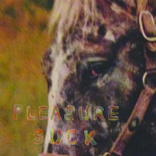 Spirit Of The Beehive - Pleasure Suck (Transparent Orange LP Vinyl)