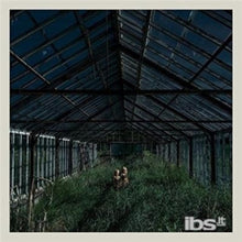 Foxing - Dealer - LP Vinyl